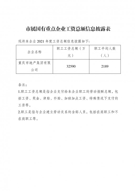 市屬國有重點企業工資總額信息披露表-地產集團2021.jpg